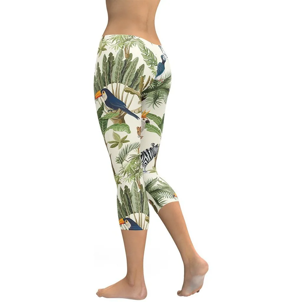 Animal Kingdom Capris