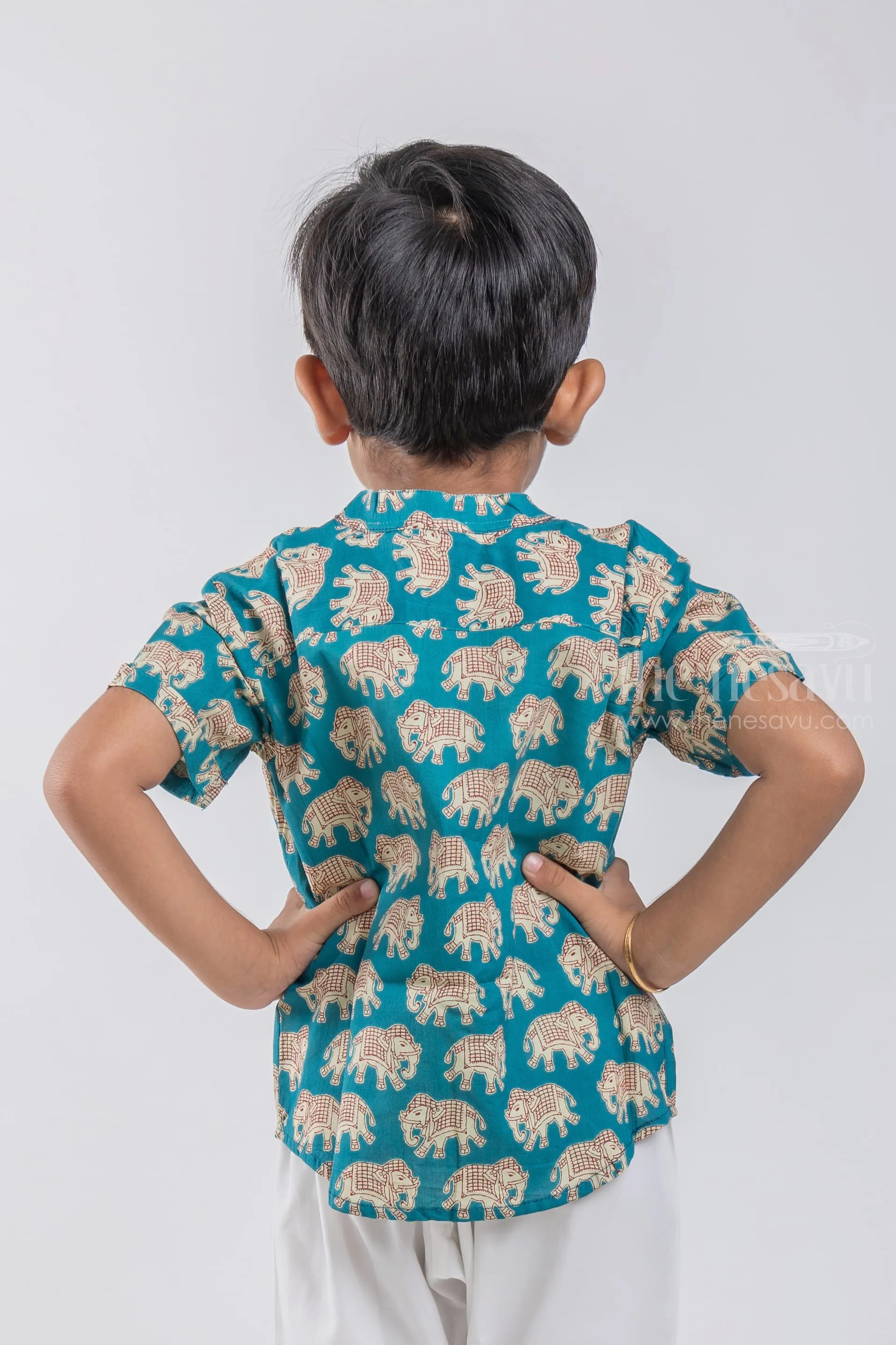 Boys Madhubani Elephant Printed Blue Cotton Shirt by The Nesavu