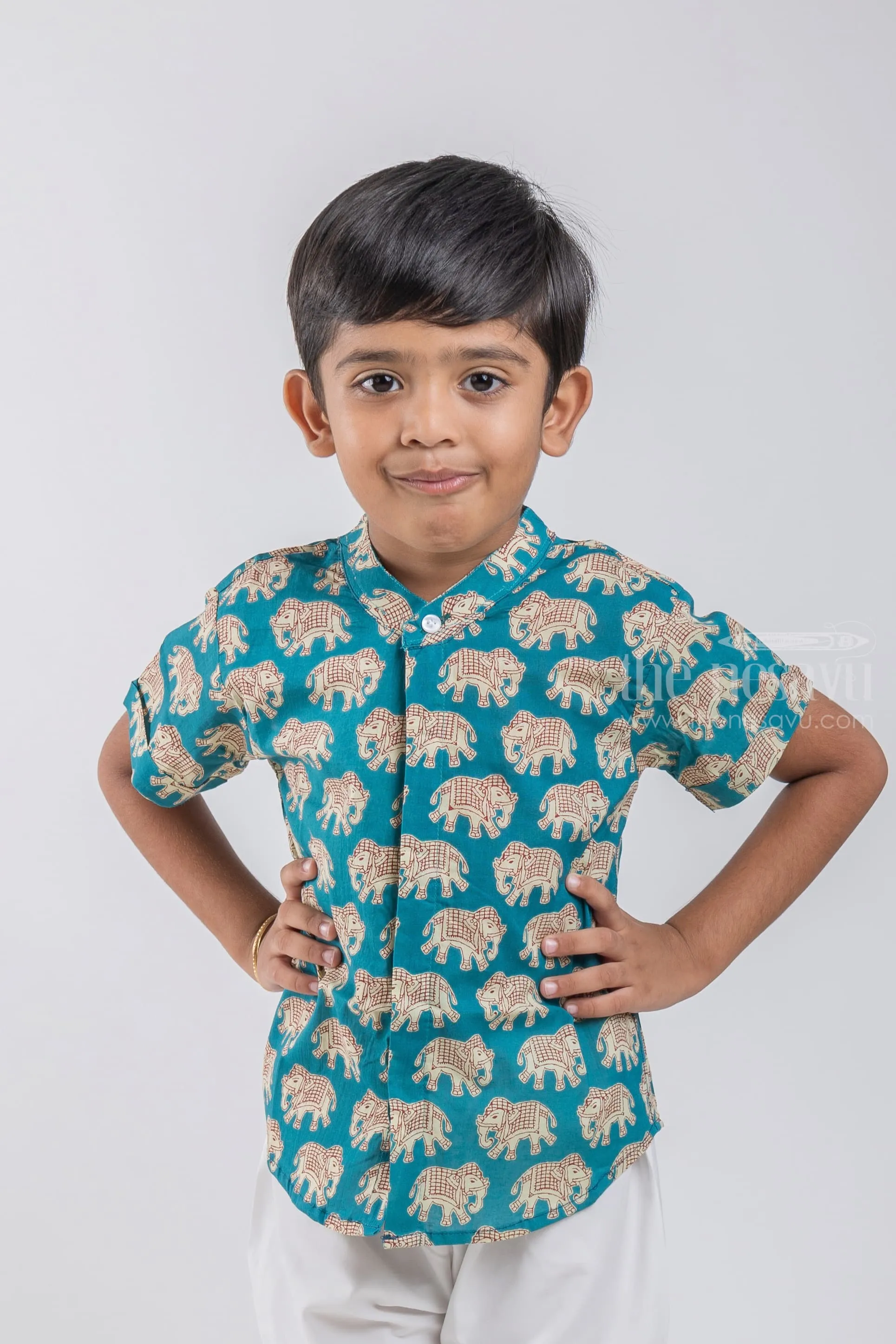 Boys Madhubani Elephant Printed Blue Cotton Shirt by The Nesavu