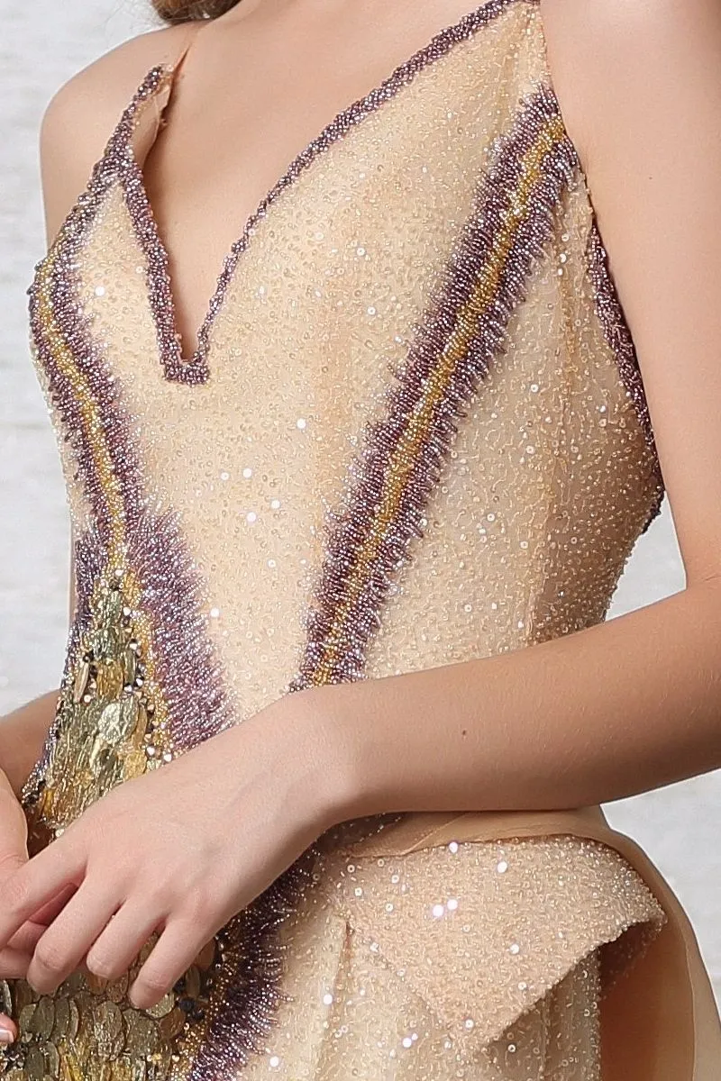 Embroidered Evenning Gown