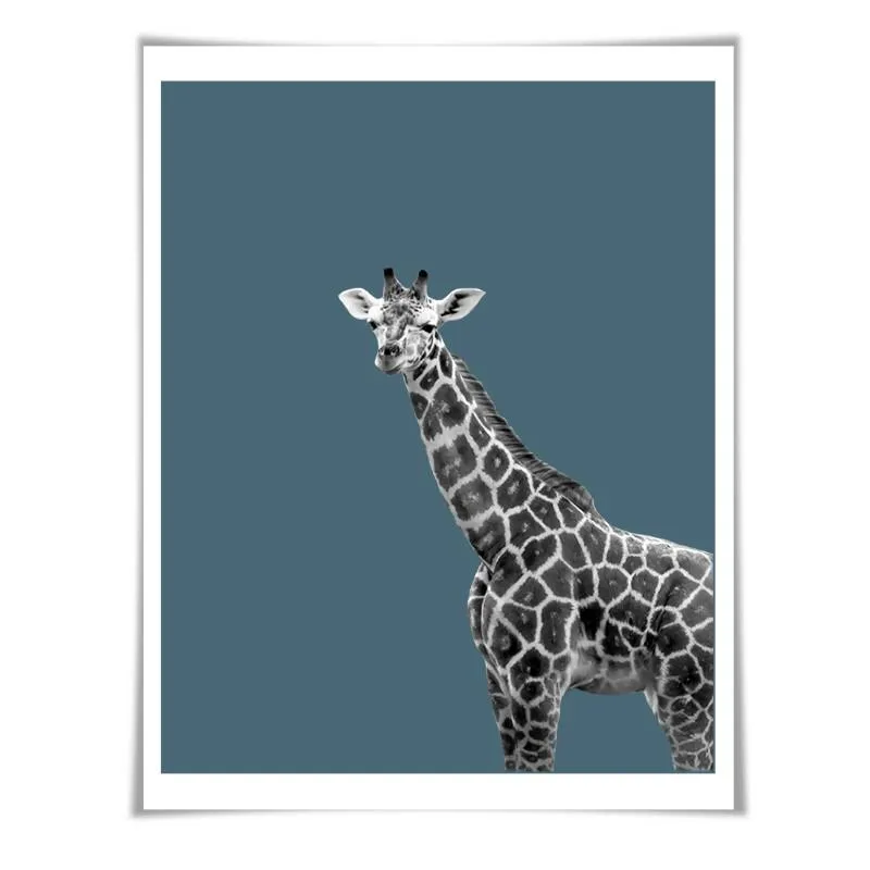 Giraffe Art Print. 6 Sizes/60 Colours. Giraffe Photo. Nursery Wall Art. Wildlife Poster. Safari Animal Art